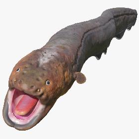 3D Electric Eel Rigged